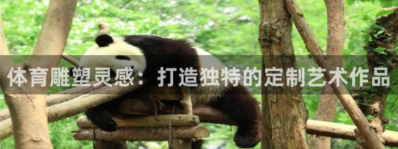 球王会体育