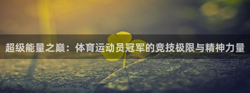 球王会体育