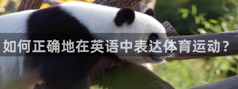 球王会体育