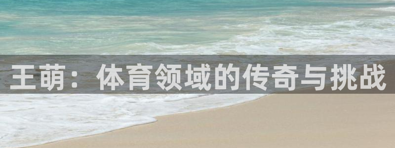 球王会体育