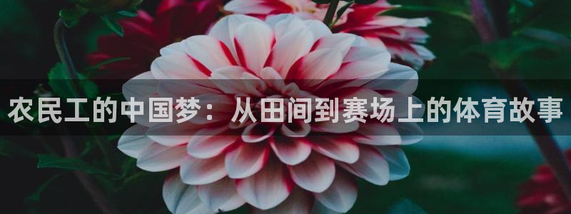 球王会体育