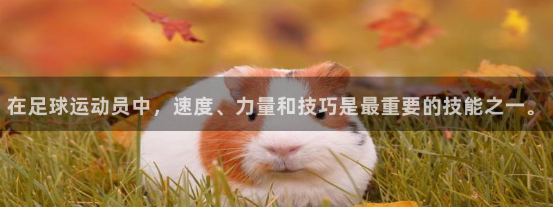 球王会体育