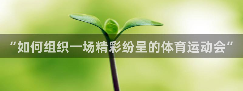 球王会体育
