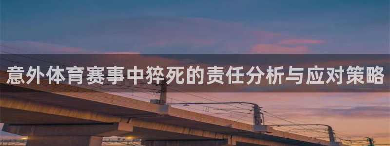 球王会体育