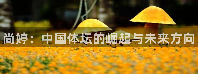 球王会体育