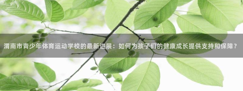 球王会体育：渭南市青少年体育运动学校的最新进展：如何为孩子们的健康成长提供支持和保障？