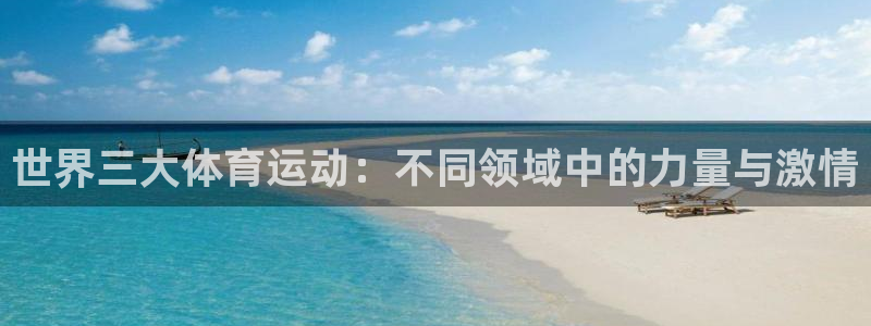 球王会体育