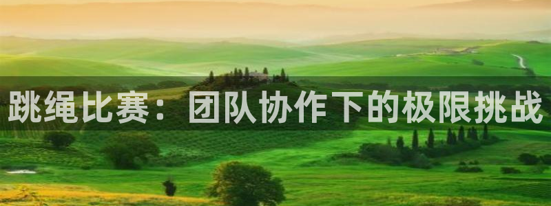 球王会体育