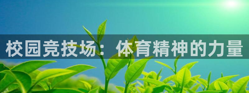 球王会体育