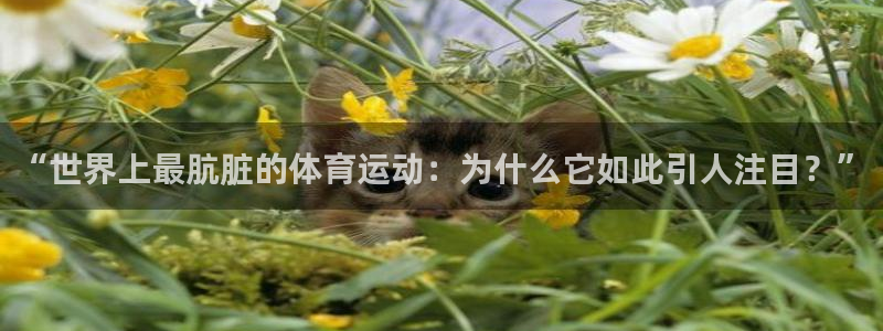 球王会体育
