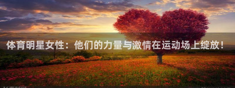 球王会体育